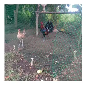 Red de plástico para protección de aves de corral, malla de plástico para pollos