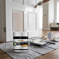 Peinture acrylique liquide en gros à séchage rapide à base d'eau pour la rénovation de meubles avec application au pinceau