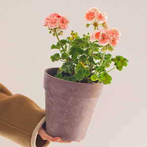 Maceta decorativa de alta calidad <span class=keywords><strong>para</strong></span> flores cortadas, Cubo de flores de plástico blanco y rosa <span class=keywords><strong>para</strong></span> decoración del hogar, maceta con estampado de nubes <span class=keywords><strong>para</strong></span> jardín - Product Image 3