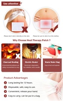 Patchs OEM de thérapie thermique au carbone actif pour le soulagement des douleurs menstruelles Fourniture en vrac pour soulager les coliques abdominales