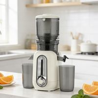 Nieuwe Design 200W Fruit Citrus Slow Masticating Cold Press Commerciële Sapcentrifuge Automatische Sinaasappelpers