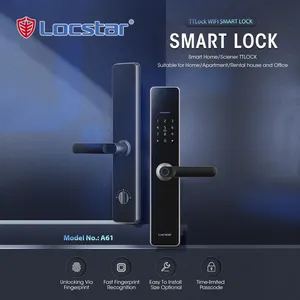 Locstar fábrica número inteligente porta fechadura tuya alça chave cerradura inteligente com fechadura máquina wi-fi