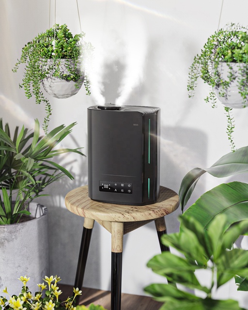 OEM China Factories Resource air Ultrasonic Humidifier and Humidifiers Christmas 3l