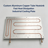 Placa de Enfriamiento Líquido de Aluminio de Alta Densidad con Estructuras de Cobre de Micro-Aletas para Dispositivos Miniaturizados