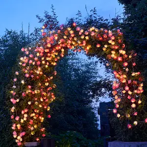 14.7 ft çiçek peri ışıkları 30 LEDs çiçek ışıklar odası dekor pembe beyaz gül çiçek dize süslemeleri gül ışıkları