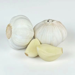 Bulbes <span class=keywords><strong>d</strong></span>'ail chinois frais à vendre avec un prix compétitif et une exportation de haute qualité <span class=keywords><strong>Allium</strong></span> Sativum Ajo Chino Fresco au Pérou - Product Image 1