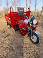 Vente chaude chinoise 3 roues nouveau style chinois camion électrique 200cc motorisé taille personnalisable tricycle cargo avec corps ouvert