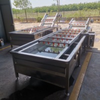 Groothandelsprijs Commerciële Multifunctionele Fruitvlees Wassen Bladgroenten Meloen Proces Bubble Wasmachine