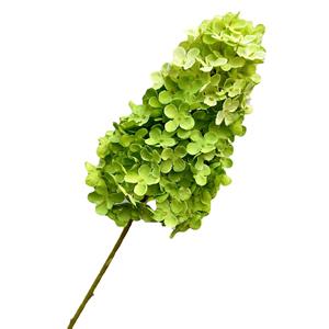 Nouveauté Arrangement floral artificiel blanc brillant Fleurs artificielles blanches et vert olive Plantes artificielles Tiges de verdure - Product Image 5