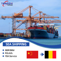 Agent d'expédition maritime DDP porte-à-porte le moins cher, service de transport maritime de la Chine vers la Belgique, LCL + logistique routière