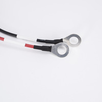 Harness Kabel Otomotif dengan Soket Relay, Tempat Sekring Inline, Konektor Tahan Air Ganda untuk Sistem Kelistrikan Kendaraan