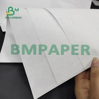 Papier Tyvek blanc enduit de 787mm de largeur 1025D pour imprimante à jet d'encre HP Cannon