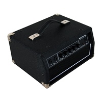 Speaker Bass Gitar Elektrik 100W Kualitas Tinggi Amplifier Speaker Gitar MICRO-CL/BA-100