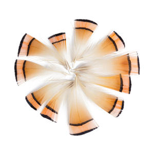 Vente en gros de plumes Offre Spéciale plumes de tête de faisan doré naturel pour la pêche à la mouche montage de mouches - Product Image 1