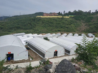 Conception de bâtiment d'élevage de porcs en ossature métallique préfabriquée, maison de porcherie préfabriquée