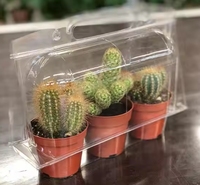 Emballage en plastique transparent personnalisé pour plantes, fleurs, semis, boîte de transport pour plantes et fleurs
