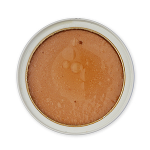 Cá Ngừ Với Tôm Thạch Hương Vị Mèo Ướt Đóng Hộp Thực Phẩm Màu Đỏ Tùy Chỉnh OEM Xách Tay Pet Dog Chai Nước Cho Nhỏ Vừa Lớn 3 Năm - Product Image 4