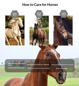 Cepillo de <span class=keywords><strong>Baño</strong></span>/Masaje con Mango de Madera Sólida para <span class=keywords><strong>el</strong></span> Cuidado de Caballos, Limpieza de Cola, Herramienta de Belleza y Limpieza Equina - Product Image 3