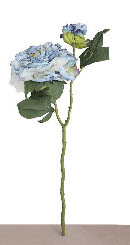 Bleu