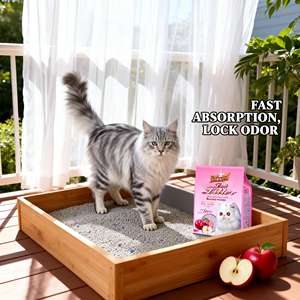 Vente directe fabricant : Litière pour chat en bentonite absorbante, écologique et jetable dans les toilettes, de haute qualité, pour animaux de compagnie (Arena Para Gatos) - Product Image 1