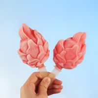 Outils de moule à gâteau pour crème glacée et mousse-Pitaya Silicone Popsicle Maker Mold