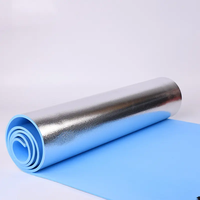 Tapis de couchage pliable en mousse à cellules fermées ultra-léger et imperméable avec feuille d'aluminium