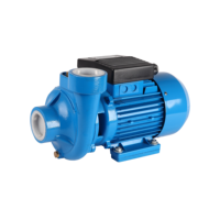 Nouvelle Arrivée 1.5DK20 Pompe à Eau Centrifuge à Usage Domestique Conception Ultra Silencieuse pour Système de Surpression d'Eau Maison/Jardin