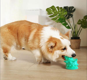 Jouets à mâcher interactifs pour chiens, naturels, durables, pour nettoyer les dents des chiots, accessoires pour animaux de compagnie - Product Image 1