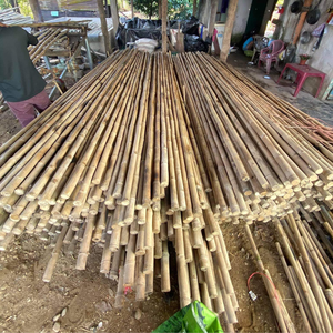 แท่งไม้ไผ่บางๆวัตถุดิบธรรมชาติสำหรับปีนเขาการเจริญเติบโตของผักและสวน - Product Image 3