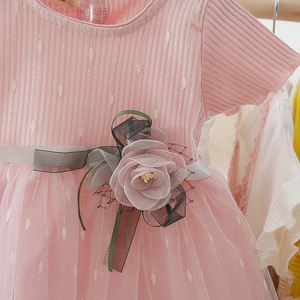 Nuevo Vestido de Verano para Niña, Ropa Infantil al por Mayor, Vestido de Manga Corta Estilo Princesa de Alta Calidad - Product Image 5