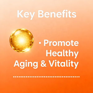 OEM Label Health Support PQQ & COQ10 200mg PQQ Herz gesundheits ergänzung zur Unterstützung der Energie-und kognitiven Funktion - Product Image 3