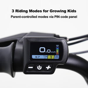 Juego de Ruedas Integradas con Neumáticos Gruesos de 16 Pulgadas para Motocicleta Infantil, 250W, Bicicleta Infantil Segura y Divertida, Mini Motor para Niños - Product Image 5