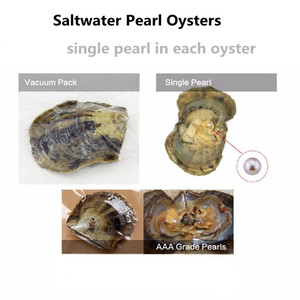 Tự làm akoya & hàu nước ngọt với ngọc trai nước ngọt Tròn Chính Hãng 7mm-9mm bên trong & Quà Tặng Khoa Học-được bọc riêng - Product Image 3