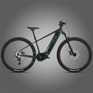 Vélo de montagne électrique Cyctrac EM5 9 vitesses, <span class=keywords><strong>moteur</strong></span> M430 500W 48V 20Ah, <span class=keywords><strong>moteur</strong></span> central, vélo électrique, vélo de montagne électrique - Product Image 2