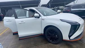 2025 מפעל dongfeng אספקת לחזיר rday רכב אנרגיה חדש רכב חשמלי עור מושבי רכב מונית מכונית 500 ק "מ oem odm - Product Image 2