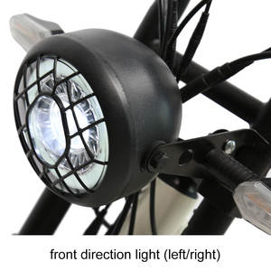 TXED nuevo modelo bicicleta eléctrica 1000W motocicleta eléctrica E bicicleta con 2 baterías - Product Image 5