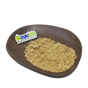 Hoge Kwaliteit Hericium Erinaceus Extract Polysaccharide 30%-50% Leeuw Manen Paddestoel Extract Poeder Beta-Glucanen 10%-30%