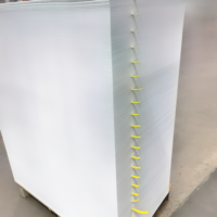 Papier offset double face A4/A2 biodégradable haute blancheur en rouleaux et feuilles ODM/OEM