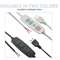Câble d'extension d'alimentation USB 5V avec interrupteur variateur LED marche/arrêt et fil étamé nu pour enseigne néon monochrome, veilleuse et bande LED