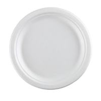 Assiettes jetables de canne à sucre de qualité alimentaire canne à sucre pâte à papier de bambou Bio compostable plat dégradable pour la fête