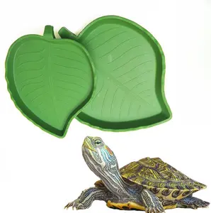 Forma di foglia rettile alimentazione rettile verde cibo e ciotola acqua piatto per piatti per lucertole tartarughe tartaruga acquatiche Pet forniture