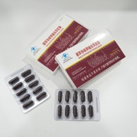 Fabricants et fournisseurs de capsules d'herbes chinoises de qualité supérieure pour améliorer l'immunité, la santé holistique et les produits de compléments alimentaires.