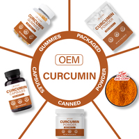 Prix de gros Poudre de curcumine naturelle Extrait de racine de curcuma 95% Qualité alimentaire Certifié HPLC Échantillon gratuit