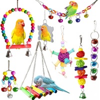 Ensemble de jouets pour perroquets en bois de pin, best-seller, pour mâcher et déchirer, avec échelle nuage et balançoire, accessoires pour cage à oiseaux