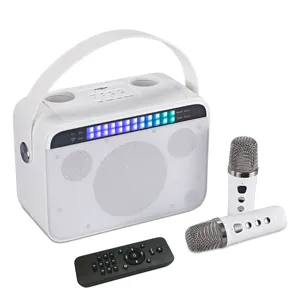 Kabelloses Blueteeth-Mikrofon mit Fernbedienung tragbarer Handlautsprecher Karaoke-Maschine Stil für Kinder bunte LED-Licht