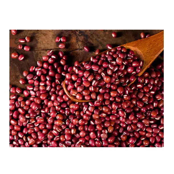Cheap Red Cowpea Bean Red Vigna Bean Export Grade Small Red Adzuki Beans