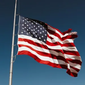 美国伊利诺伊州国旗汽车旗帜双面3x5ft三层聚酯汽车杆旗