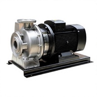 Pompe à eau centrifuge horizontale électrique à haut débit en acier inoxydable 304 robuste et durable pour l'irrigation agricole
