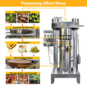 Presse à <span class=keywords><strong>huile</strong></span> de coco à froid, machine de traitement de la noix de coco, presse à <span class=keywords><strong>huile</strong></span> hydraulique, presse à froid en acier inoxydable - Product Image 4