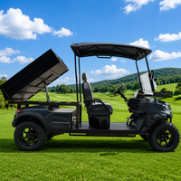 Voiturette de golf électrique LEIBIN, buggy tout-terrain, boîte de chargement, 4 roues motrices, batterie lithium 72V, 3,5-7,5KW, 2 places, freins à disque avant, 30-50Km/h, 90km, acier